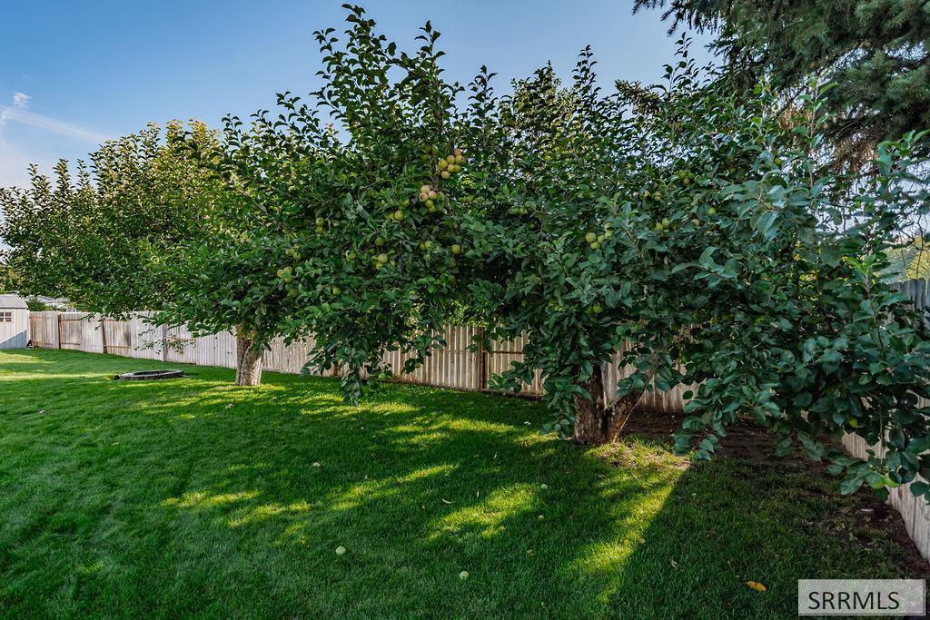 2409 Briarcliff Avenue, IDAHO FALLS, Idaho image 40