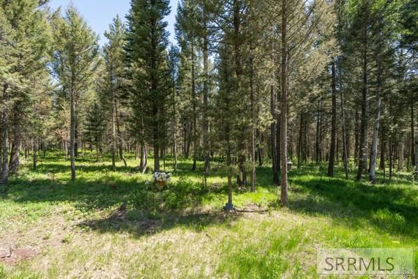 3944 Wise Owl Way, ISLAND PARK, Idaho image 17