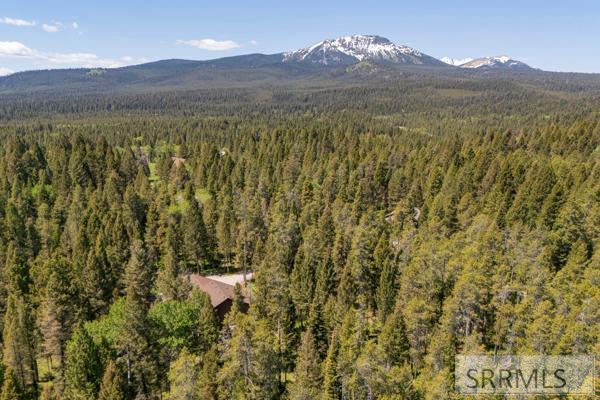 3944 Wise Owl Way, ISLAND PARK, Idaho image 48
