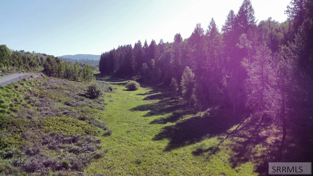 1515 E Rim Loop Road, ASHTON, Idaho image 19
