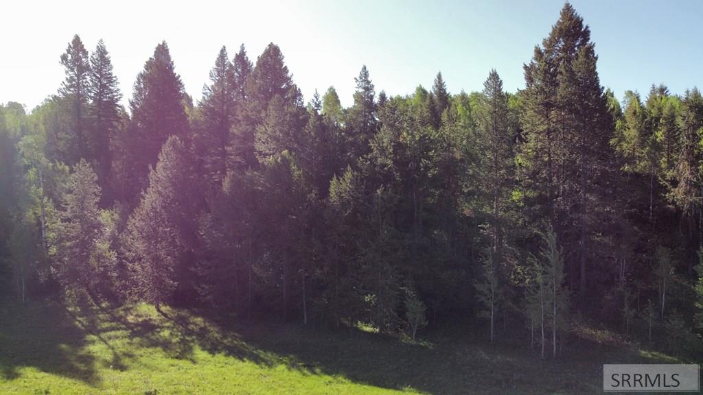 1515 E Rim Loop Road, ASHTON, Idaho image 3