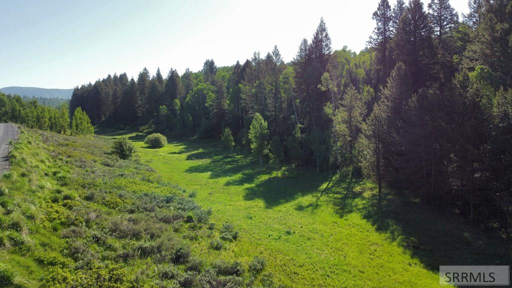1515 E Rim Loop Road, ASHTON, Idaho image 20