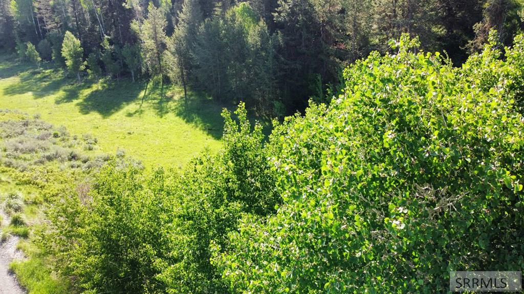 1515 E Rim Loop Road, ASHTON, Idaho image 21