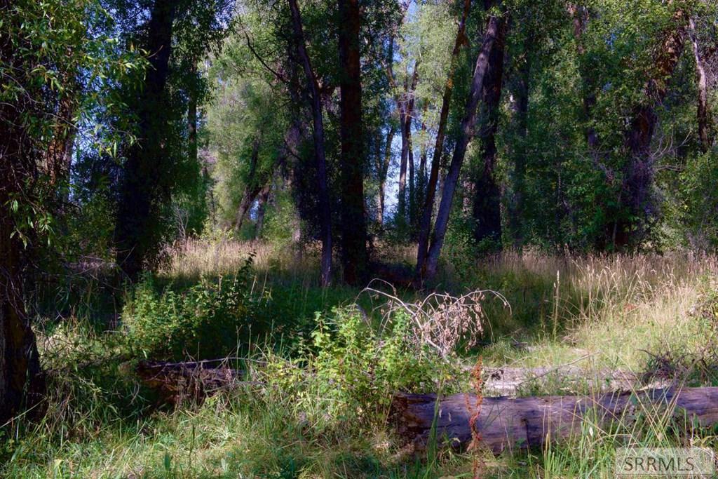 64 W 7000 N, TETONIA, Idaho image 33