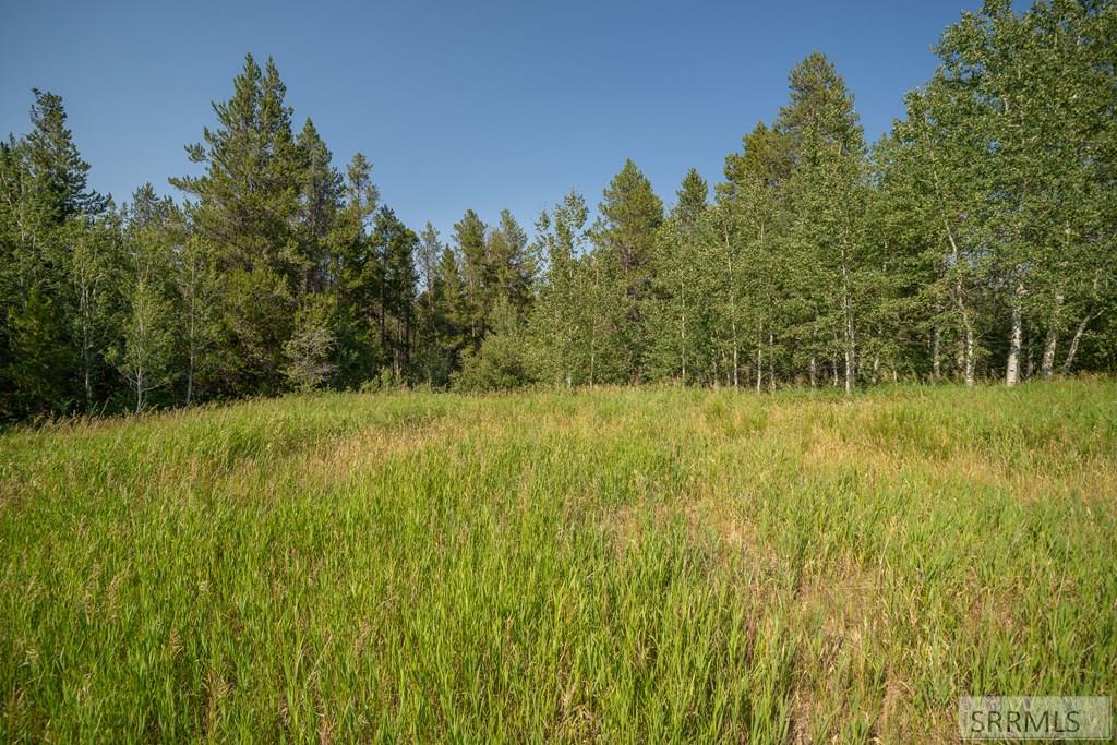 Lot 11 Potpourri Drive, ASHTON, Idaho image 4