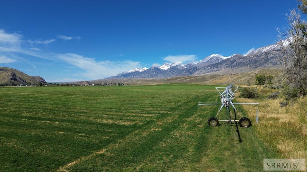 4498 Old Loop Road, MACKAY, Idaho image 14