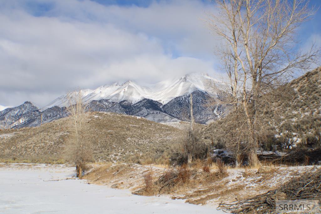 4498 Old Loop Road, MACKAY, Idaho image 44