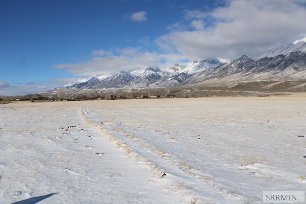 4498 Old Loop Road, MACKAY, Idaho image 50