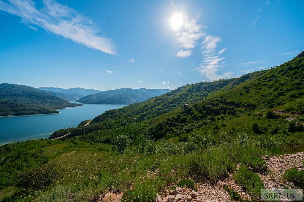 20 Acres Shady Lane, IRWIN, Idaho image 12