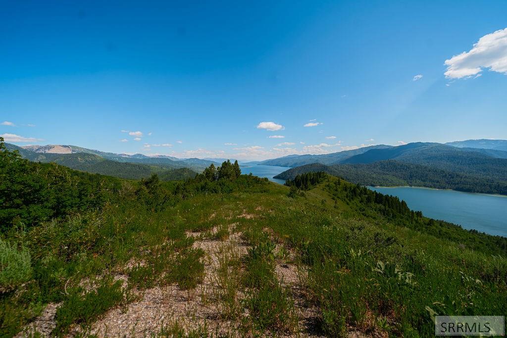 20 Acres Shady Lane, IRWIN, Idaho image 5