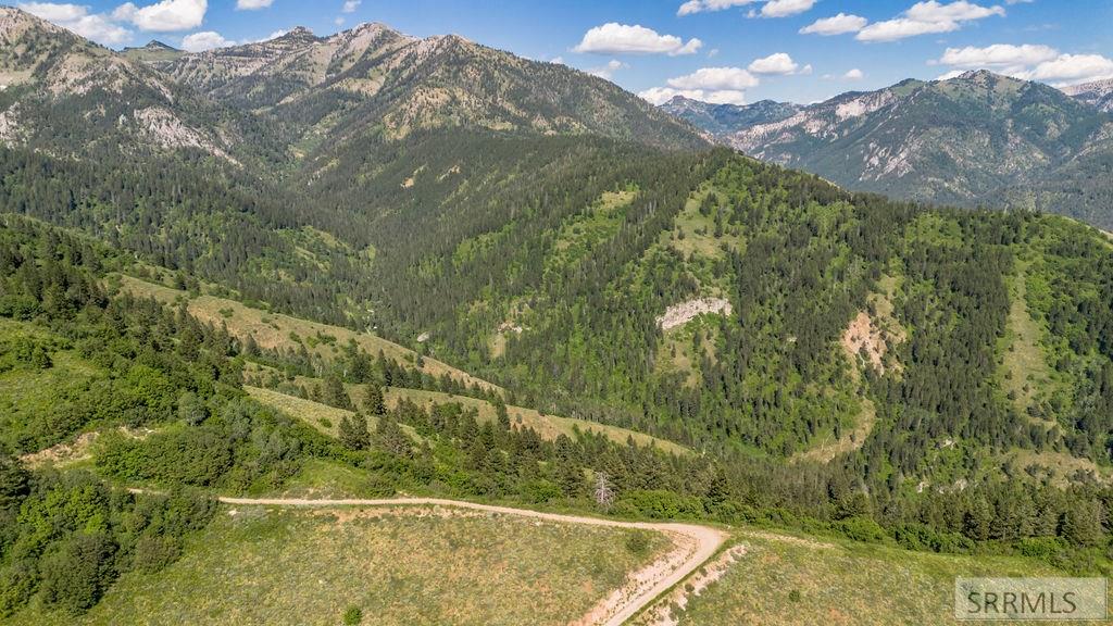 20 Acres Shady Lane, IRWIN, Idaho image 10