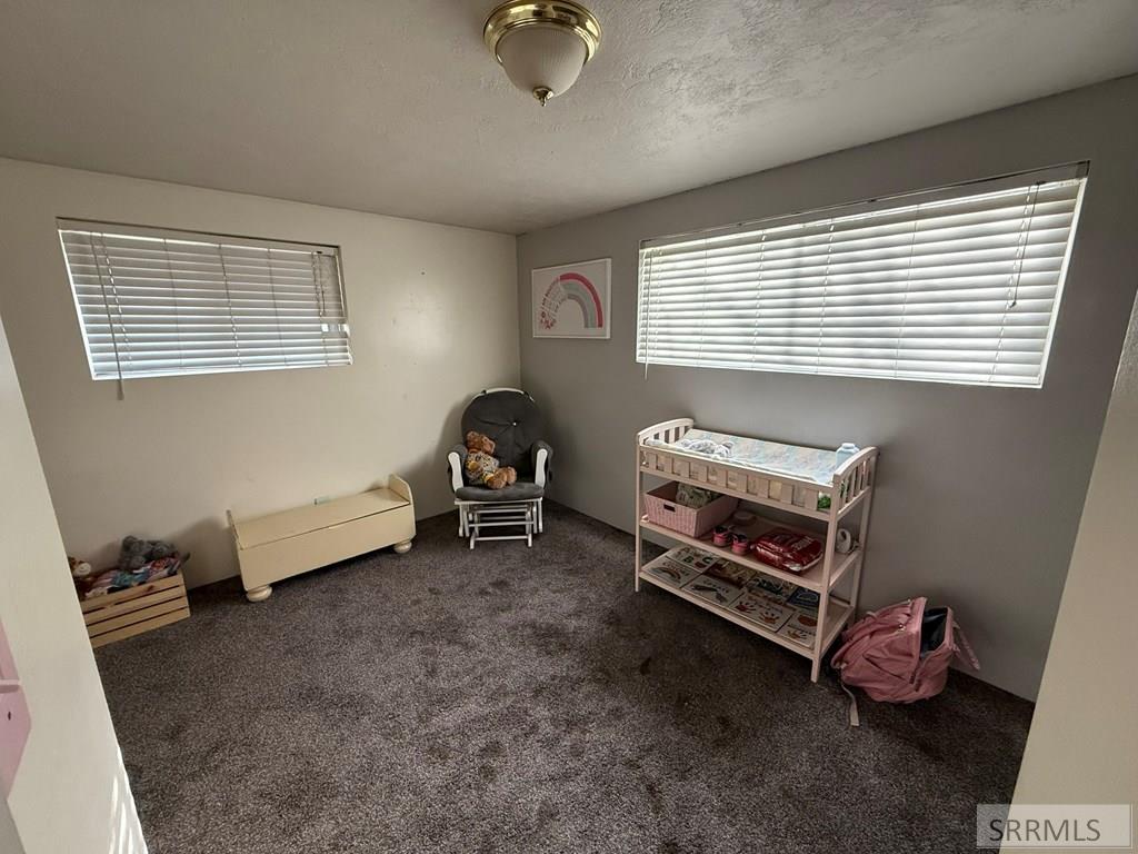 345 S 3 W, RIGBY, Idaho image 10