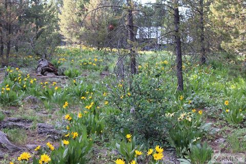 Vacant Land For Sale - 0000 Buffalo Dr<br/> Fremont County, ISLAND PARK, ID 83429