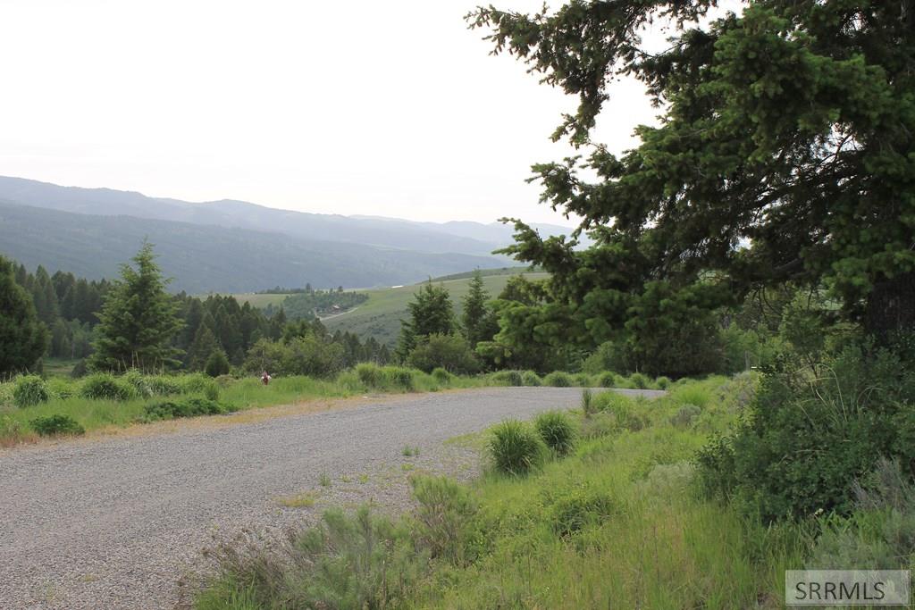 TBD Palisade Drive, IRWIN, Idaho image 9