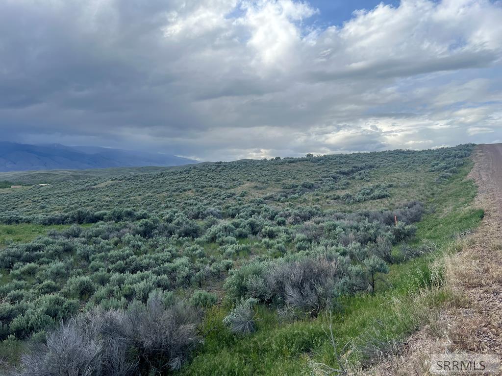 NKN Blm Drive, SALMON, Idaho image 14