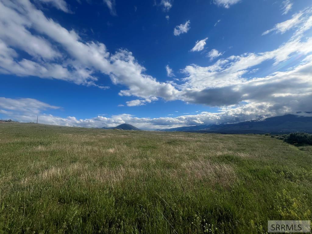 NKN Blm Drive, SALMON, Idaho image 6