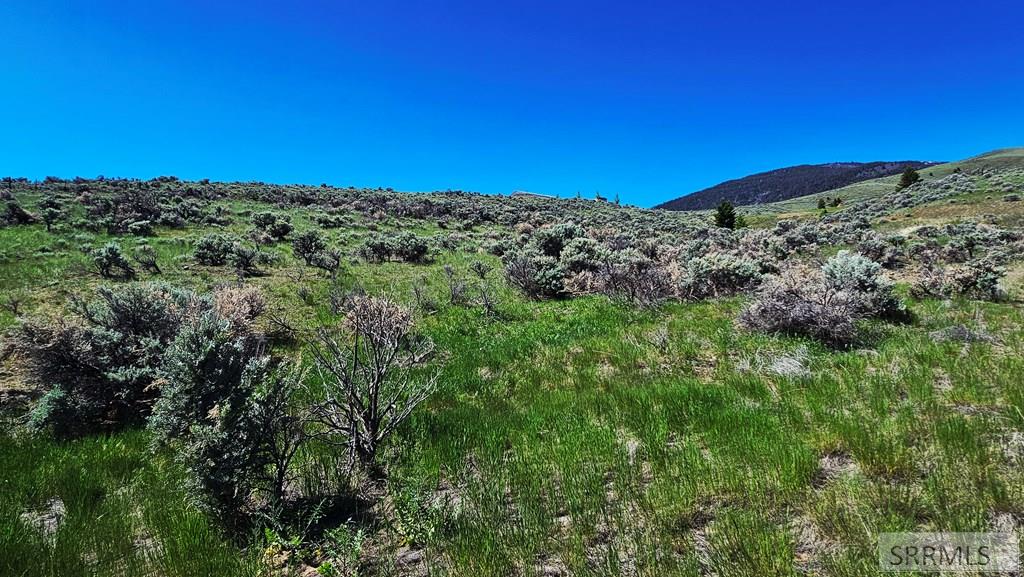 NKN Chipps Creek Road, SALMON, Idaho image 19