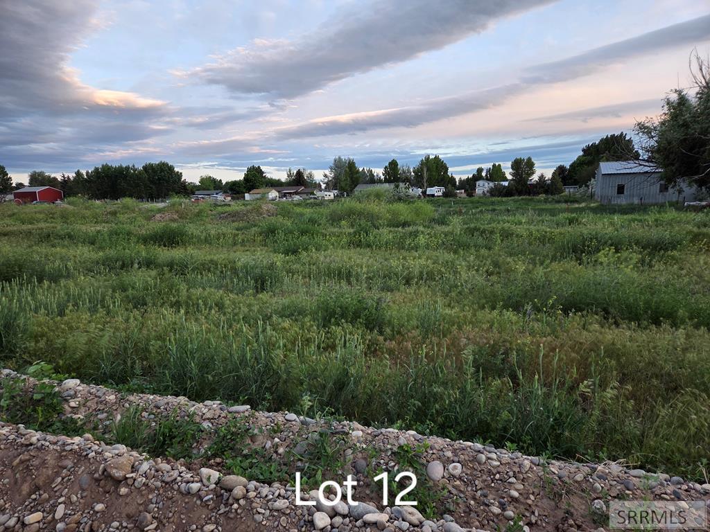 L12B1 E 228 N, RIGBY, Idaho image 3