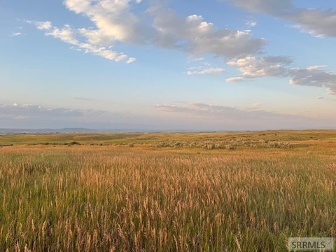 Vacant Land For Sale - 650 N 3725 E<br/> Chesterfield, ID 83421