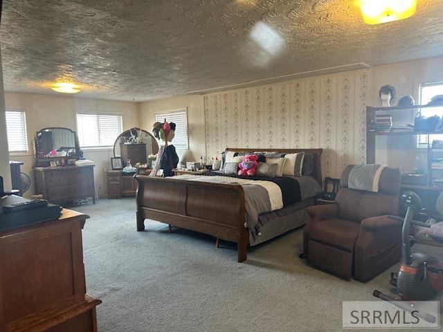 1251 W Hwy 39, BLACKFOOT, Idaho image 20