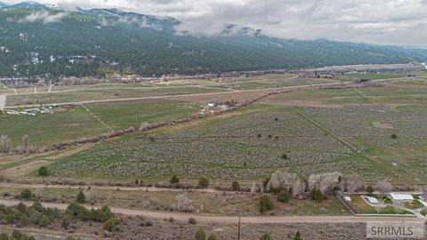 Vacant Land For Sale - TBD Old Irwin Road<br/> SWAN VALLEY, ID 83449