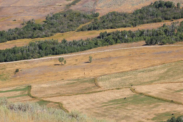 375 E Sandy Creek Road, SALMON, Idaho image 5