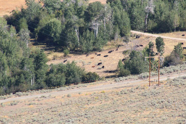 375 E Sandy Creek Road, SALMON, Idaho image 7