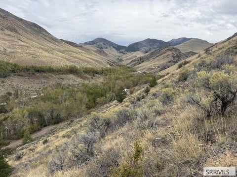 Vacant Land For Sale - LOT 63&64 Burden Road<br/> SALMON, ID 83467