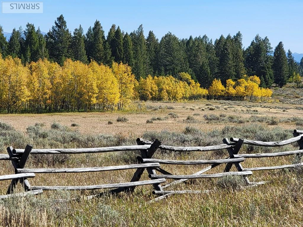 TBD W Packsaddle Drive, TETONIA, Idaho image 5