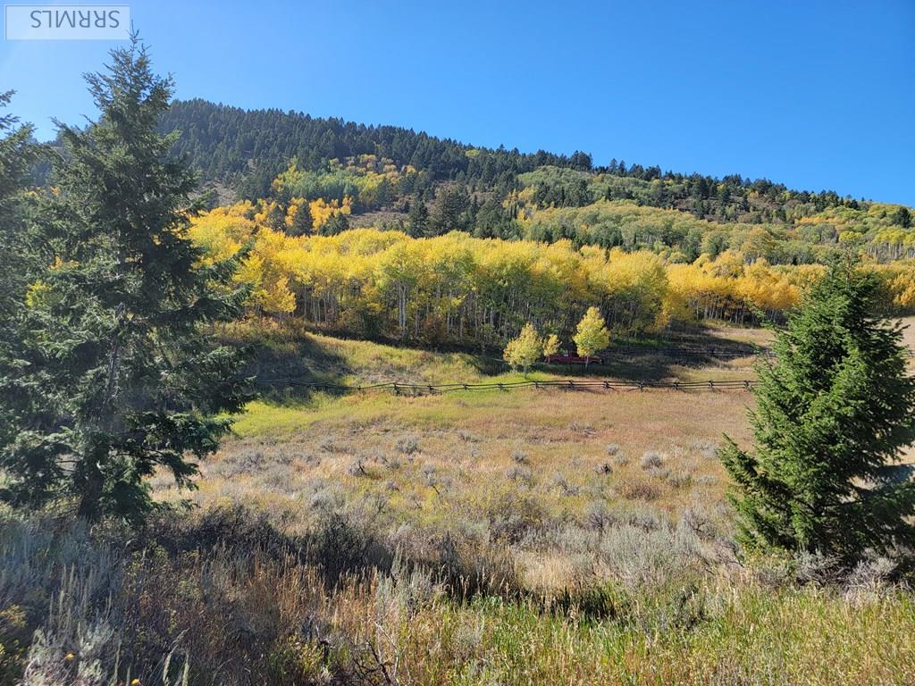 TBD W Packsaddle Drive, TETONIA, Idaho image 34