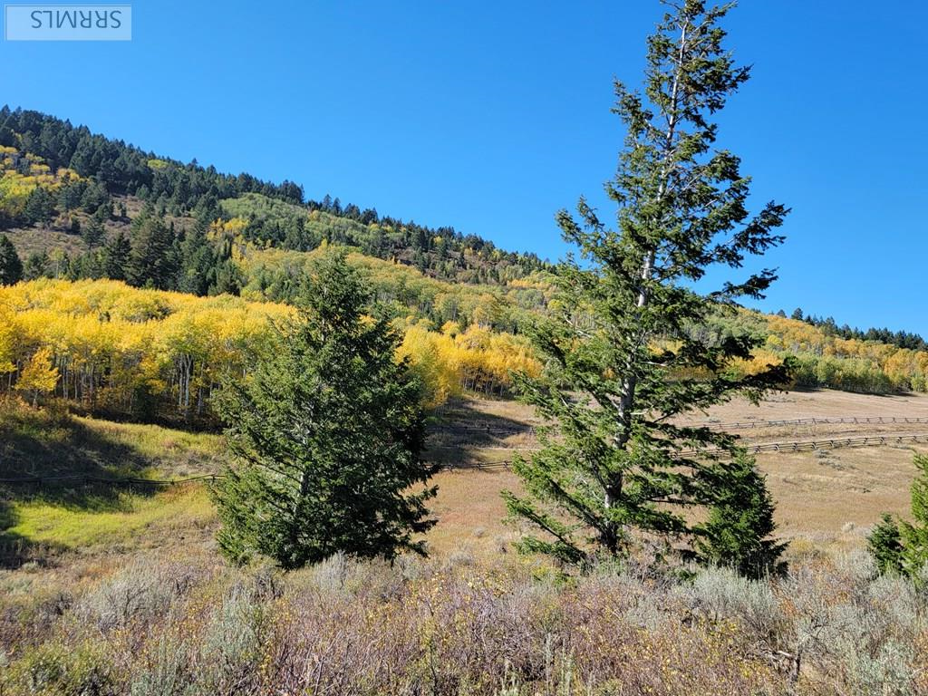 TBD W Packsaddle Drive, TETONIA, Idaho image 40