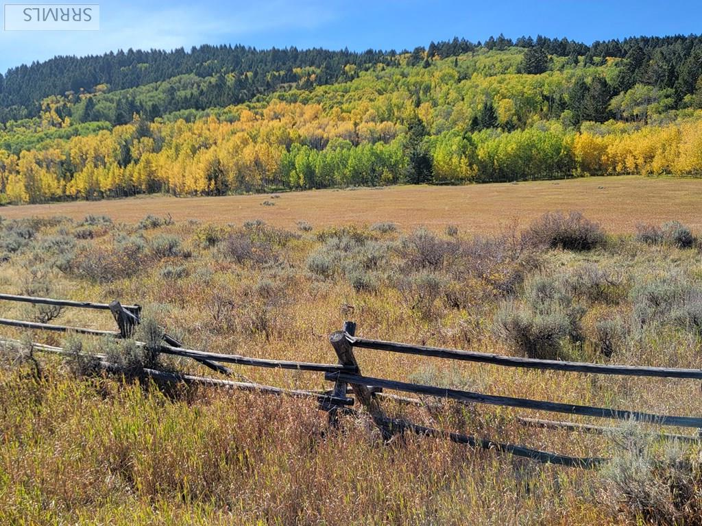 TBD W Packsaddle Drive, TETONIA, Idaho image 7