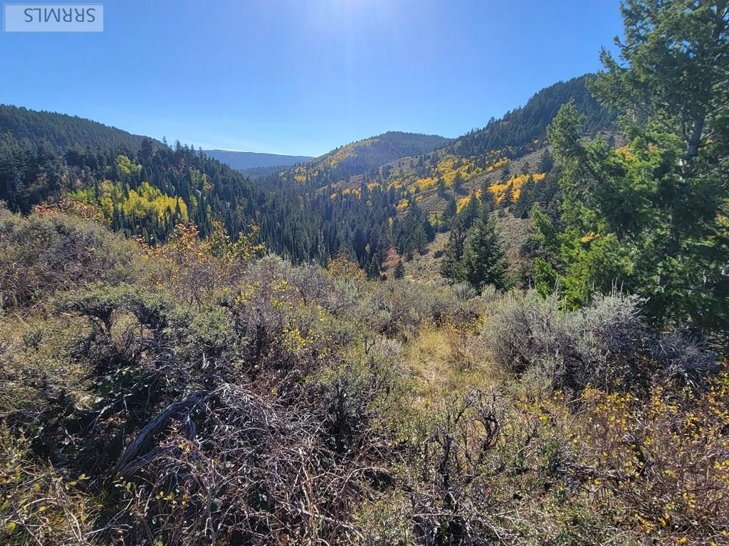 TBD W Packsaddle Drive, TETONIA, Idaho image 42