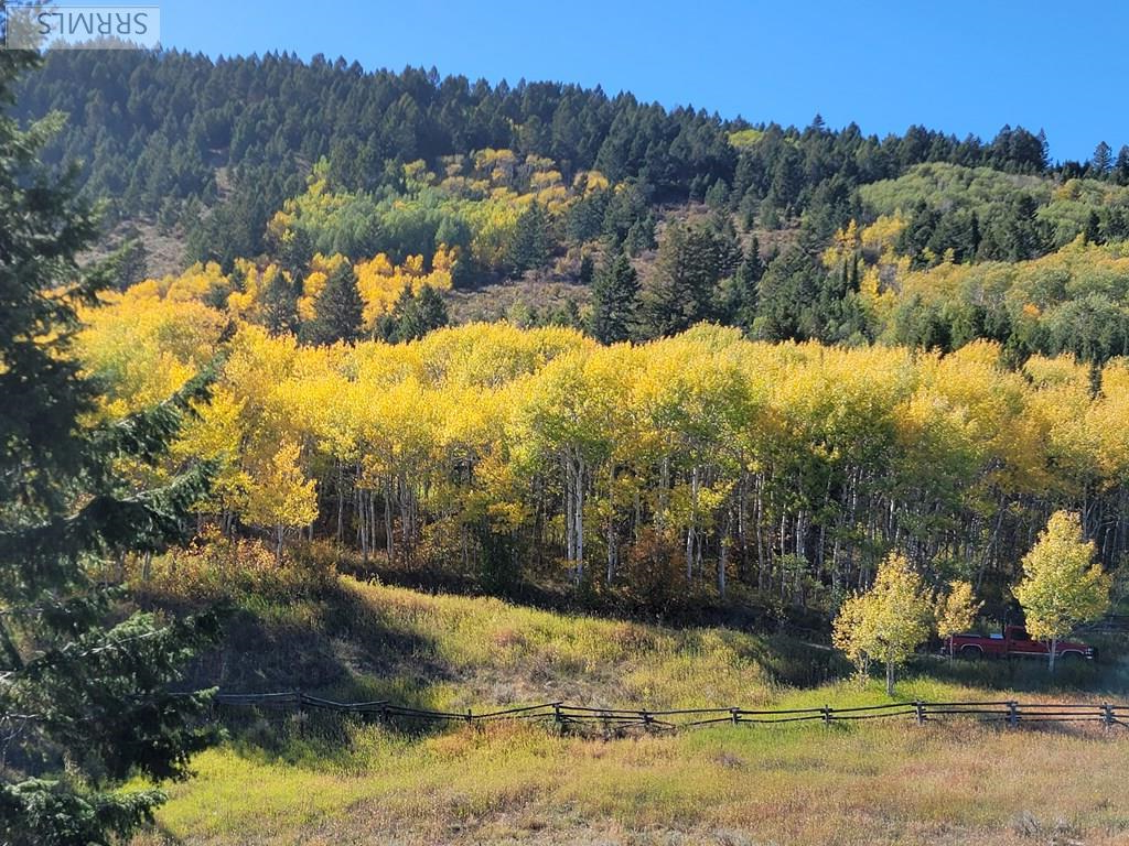 TBD W Packsaddle Drive, TETONIA, Idaho image 38