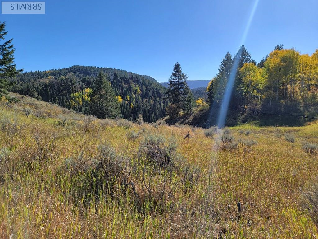 TBD W Packsaddle Drive, TETONIA, Idaho image 43