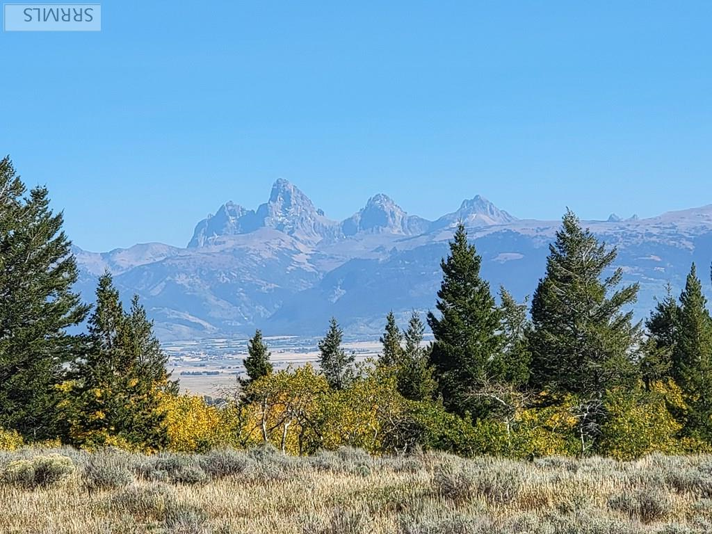 TBD W Packsaddle Drive, TETONIA, Idaho image 2