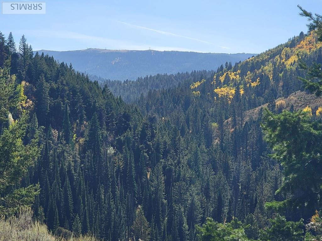 TBD W Packsaddle Drive, TETONIA, Idaho image 41