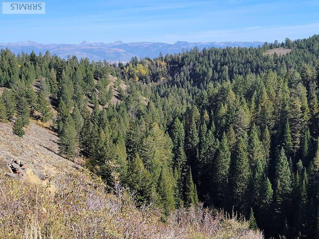 TBD W Packsaddle Drive, TETONIA, Idaho image 33