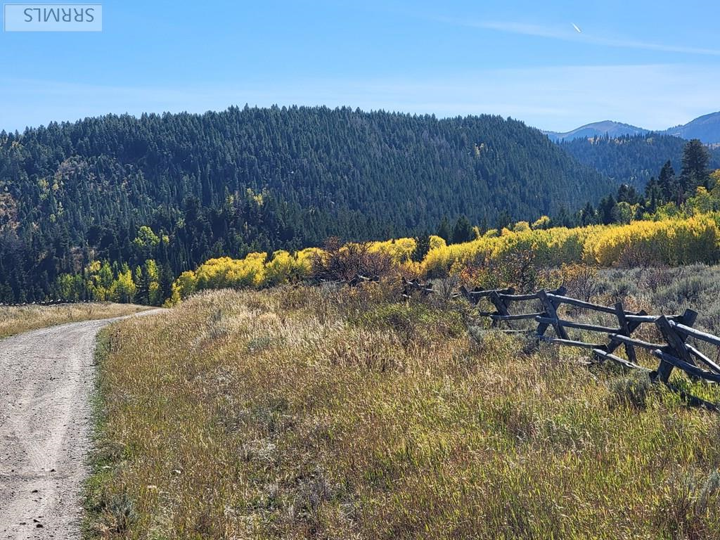 TBD W Packsaddle Drive, TETONIA, Idaho image 8