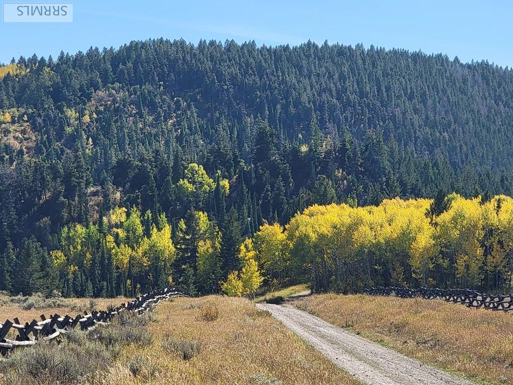 TBD W Packsaddle Drive, TETONIA, Idaho image 14