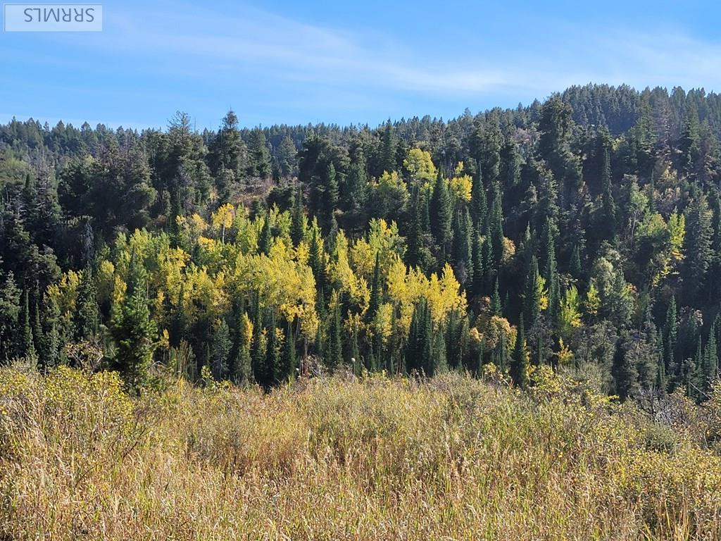 TBD W Packsaddle Drive, TETONIA, Idaho image 31