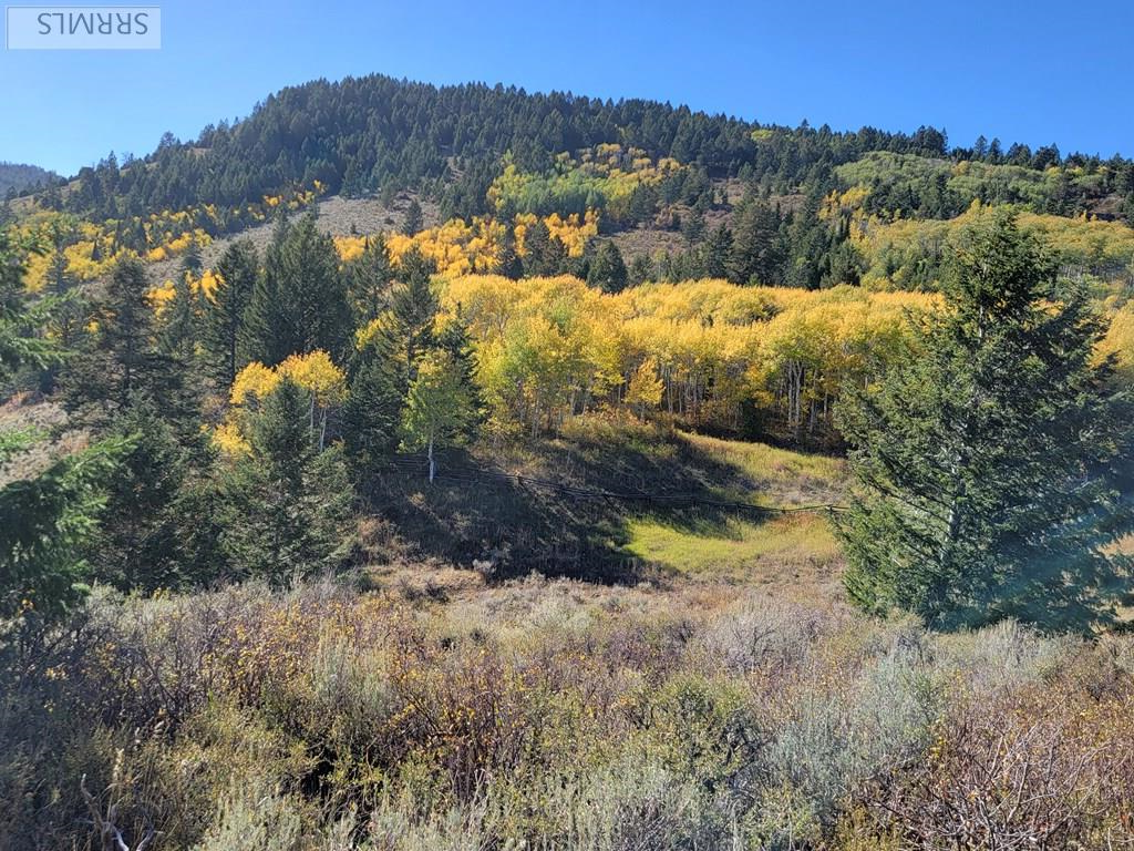 TBD W Packsaddle Drive, TETONIA, Idaho image 39