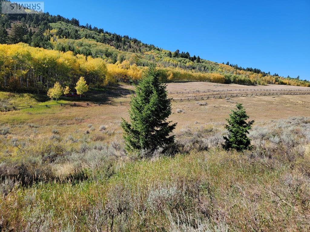 TBD W Packsaddle Drive, TETONIA, Idaho image 35