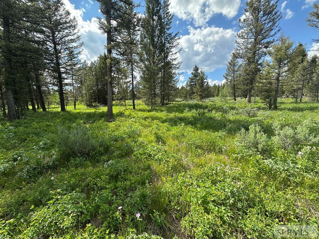 4095 Icehouse Creek Road, ISLAND PARK, Idaho image 3