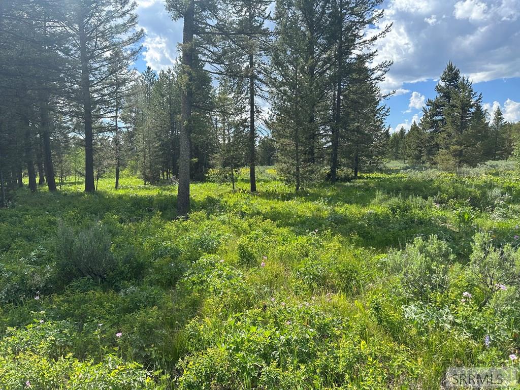 4095 Icehouse Creek Road, ISLAND PARK, Idaho image 2