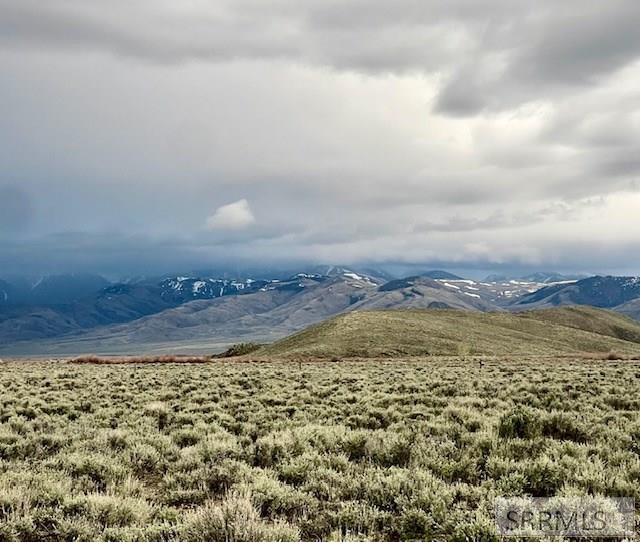 TBD Old Chilly Road, MACKAY, Idaho image 26