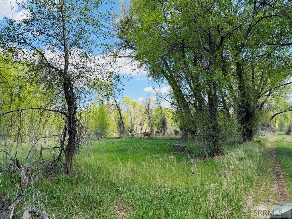 436 N 4200 E, RIGBY, Idaho image 14