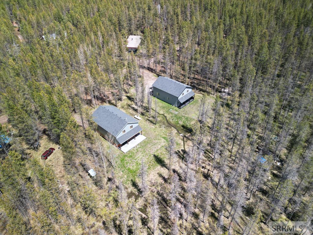 4060 Steelhead Drive, ISLAND PARK, Idaho image 48
