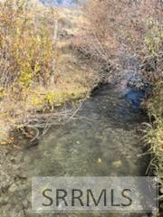 5500 N Chilly Road, MACKAY, Idaho image 15