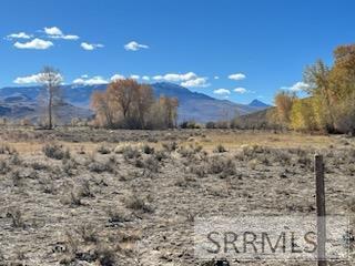 5500 N Chilly Road, MACKAY, Idaho image 23